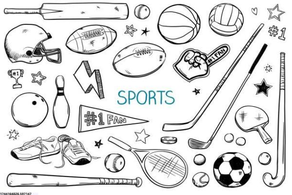 体育培训服务产品的多样性与创新