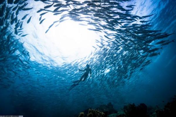 运动场所安全救援方案制定